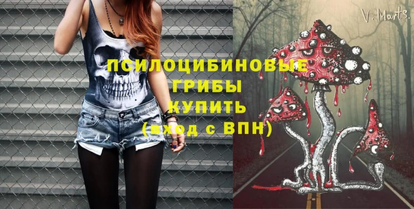 дмт Баксан
